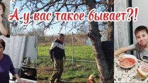 Сделала чистку лица/Наготовила борщ из квашеной капусты//У детей ночной жор//А у вас такое бывает?!