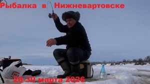 Рыбалка в Нижневартовске 28-30 марта 2026