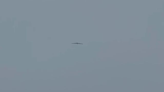 Предполётка Zala