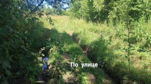 д. Лебеди и д.Турунцы Фаленский район Кировская область . Ныне деревни не существуют