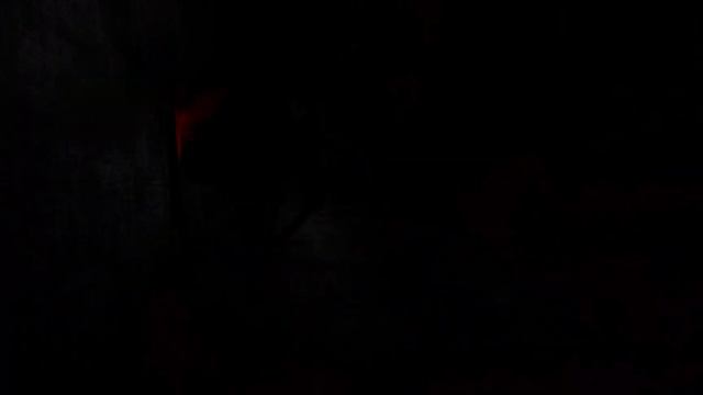 НАШЛИ ДВУСТВОЛКУ | CONTENT WARNING