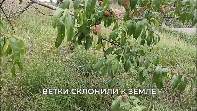 Анимация текстов 02.04.26