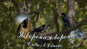 Я ворона,я ворона(Слова Л.Данько)