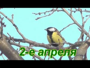 2 - апреля. Сергей Чекалин. April 2. Sergey Chekalin.