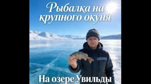 Окуни сошли с ума! Не дают опуститься мормышке! Провалились под лёд!