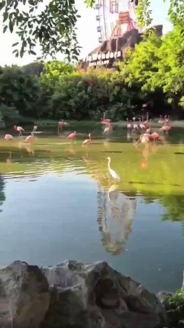 Благословенное утро.