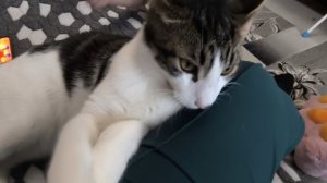 Любашины будни,влог 💥Сидим с Верочкой 🥰✅