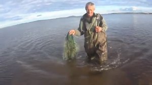 С ДЯДЕЙ ВОВОЙ РЕШИЛИ СПОЙМАТЬ РЫБЫ! И НЕПРОГАДАЛИ!ДУМАЕМ КАК УТАЩИТЬ !!!