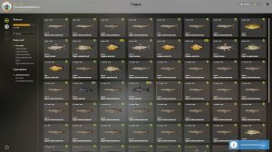 Русская рыбалка, ловим на море