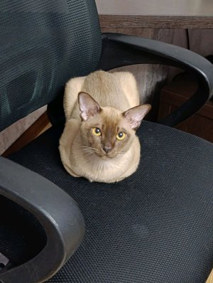 делаем прикольный подарок Васе!