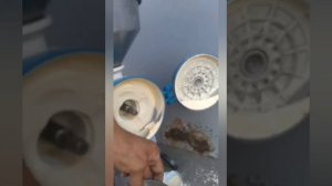 Мельница тм 150