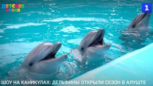 Шоу на каникулах: дельфины открыли сезон в Алуште