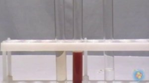 Химия 9 класс. Практическая работа №7. Опыт 2 "Взаимодействие FeCl2 с пероксидом водорода"