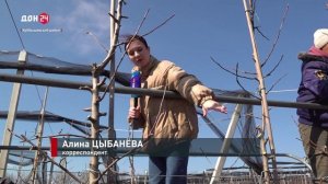 Донские сады