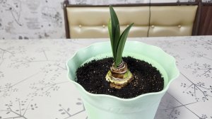 Маму надо слушать))🌺 План выполнен на 200%⏰️