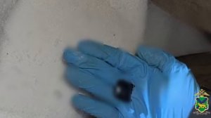 В Приморье задержаны владельцы наркошопа, который рекламировался с помощью наклеек с QR-кодами