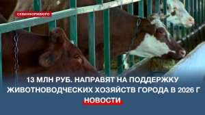 В 2026 году на поддержку животноводческих хозяйств Севастополя направят 13 млн рублей