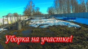 Простая жизнь в деревне! Прогулка с собакой. Навожу порядки на участке. Первый урожай грибов.
