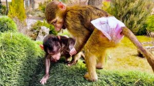 Анфиса ЗАБОТИТЬСЯ о Николь, как умеет и просто НИ НА ШАГ ОТ НЕЕ НЕ ОТХОДИТ😄