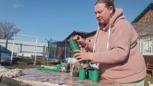 МУЖ КУПИЛ ВСЁ ЧТО СКАЗАЛА/ПОГОДА🔥 ПИКИРУЮ РАССАДУ. .