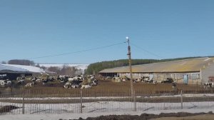 Жизнь до пенсии в деревне.