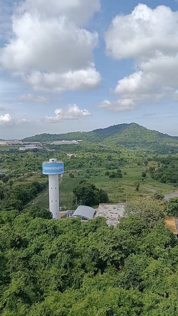Ты ищешь взгляд. А просветление — сзади.