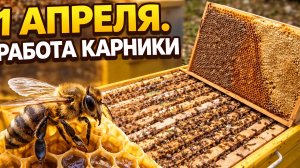 1 апреля. Работа карники
