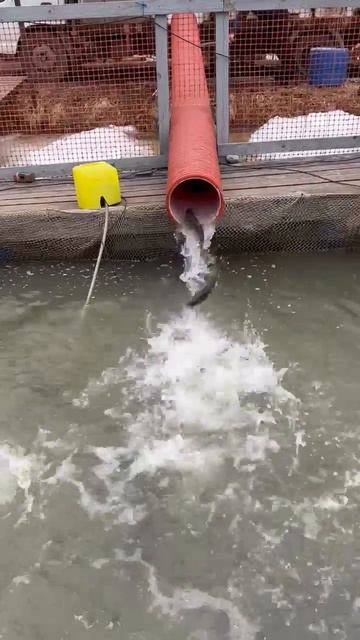 02.04.26 г. РК Волна.