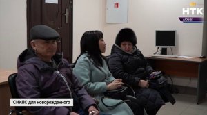 С начала года Отделение СФР по РК оформило почти 500 СНИЛС новорожденным