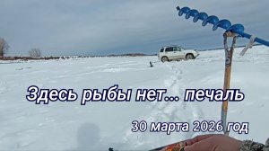 Здесь рыбы нет...печаль.