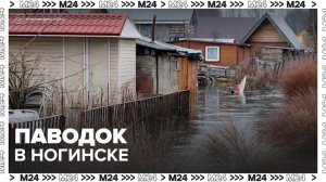 В подмосковном Ногинске из-за половодья вода подобралась к жилым домам - Москва 24