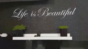 Болталка ...