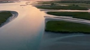 #river #calm #water #nature #fyp