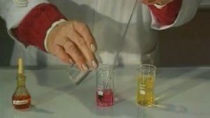 Химия 10 класс. Практическая работа №1. Вариант 2. Нейтрализация HCl аминокислотой