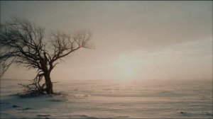 А где искать любимого теперь