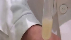 Химия 10 класс. Практическая работа №1. Вариант 1. Качественная реакция на анилин