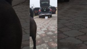 уборочка в тачке