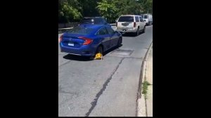 Crazy Driving Fails _ Idiots In Cars Compilation #33