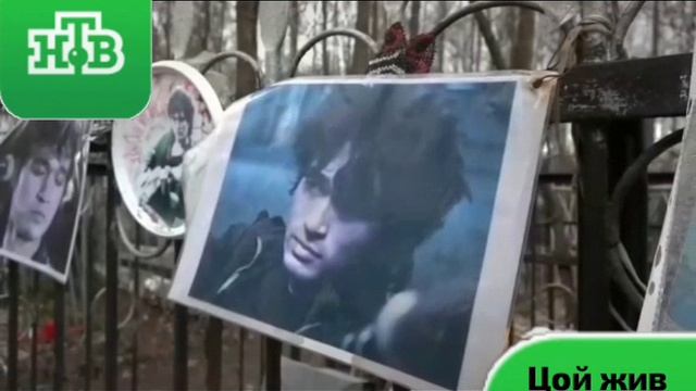 VID-20251108-WA0741.mp4