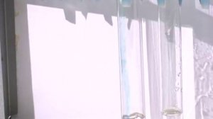 Химия 10 класс. Практическая работа №1. Вариант 2. Взаимодействие глицерина с гидроксидом меди (II)