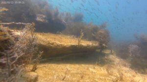 VID_20220930213639.mp4