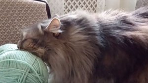 Февральская метель