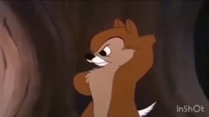 CHIP AND DALE !!! Funny cartoon