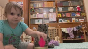 Ева предложила Басику поиграть с птичкой