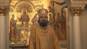 О богатом урожае жизни