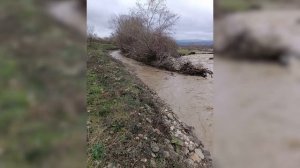 Дигидай цин месэлаяр