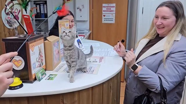 Маленькое счастье нашло большой дом! | Дженни