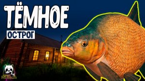 RF4 Просто обожают тёмное время суток #рр4