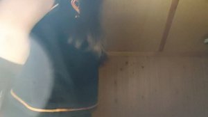 DAISIES (a Hazbin hotel song):)