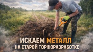 Копаем старую торфоразработку — поиск металла и реальные находки